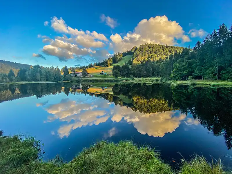 Reflets dans le lac de Lispach dans les Vosges