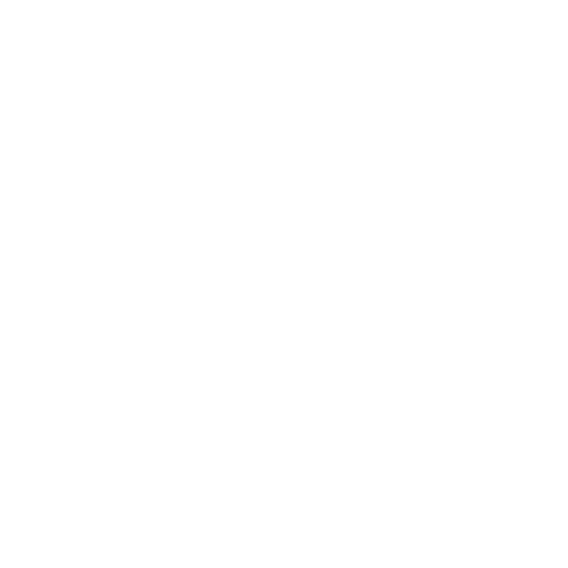 Logo du Chalet blanc à Gérardmer