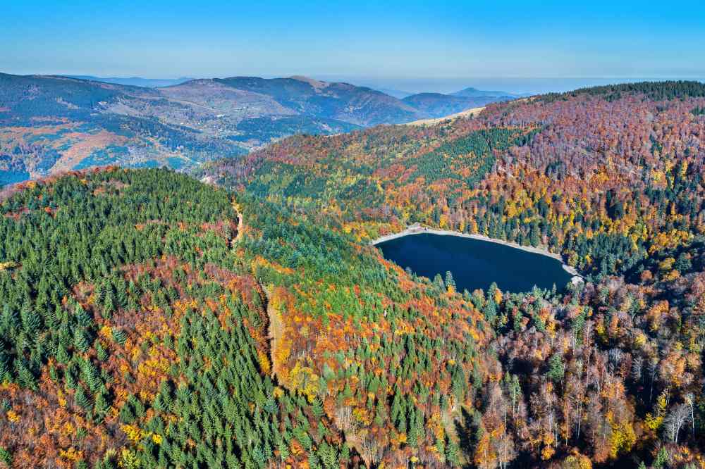 Parc naturel du Ballon des Vosges